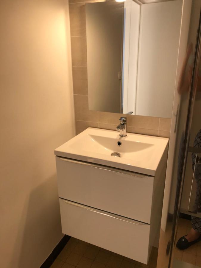 Grenoble Joli Appartement Exteriör bild